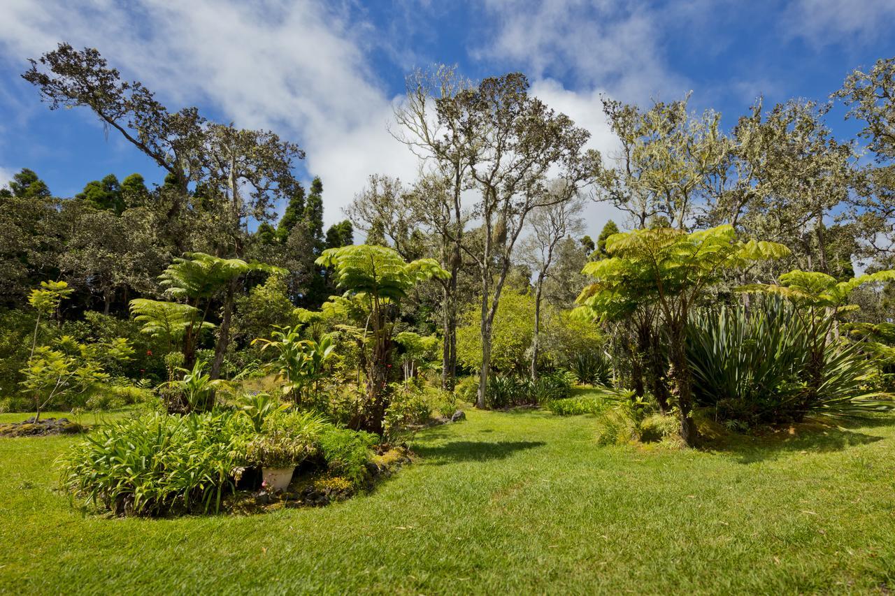 Hale 'Ohu Bed & Breakfast โวลคาโน ภายนอก รูปภาพ